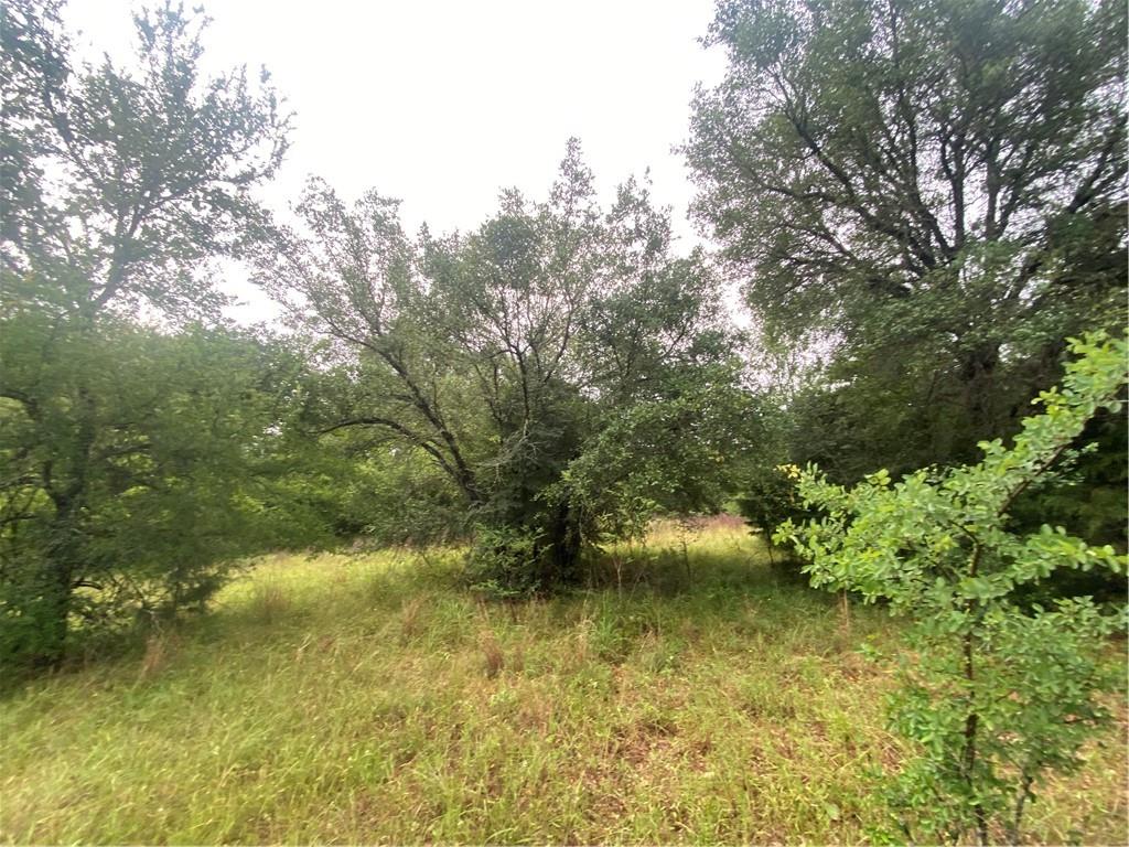 Tract 3 FM 141, Dime Box, TX 77853