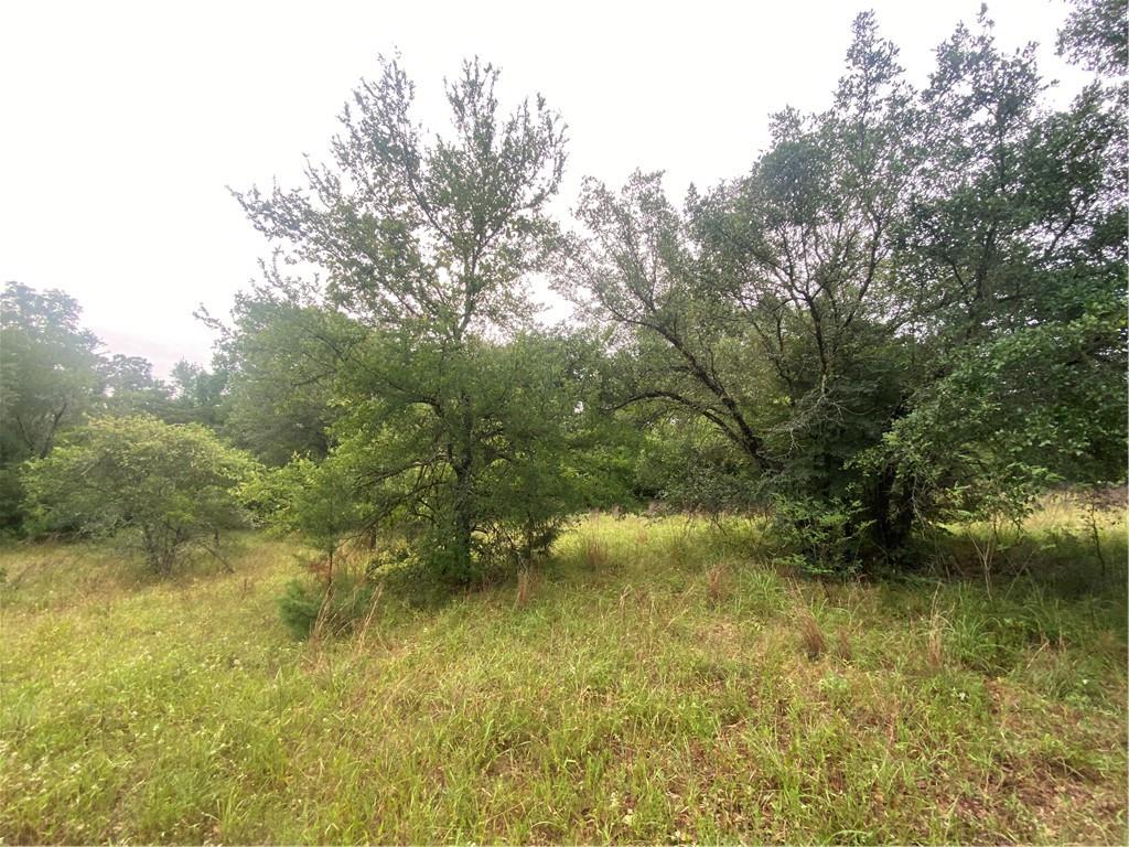 Tract 3 FM 141, Dime Box, TX 77853