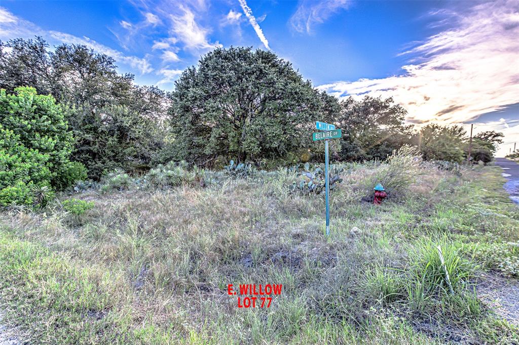 Lot 77 Willow Dr
