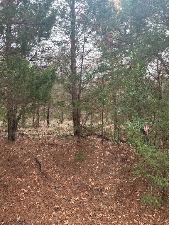 Lot 3 Marlin Ln County Rd 142 Rd
