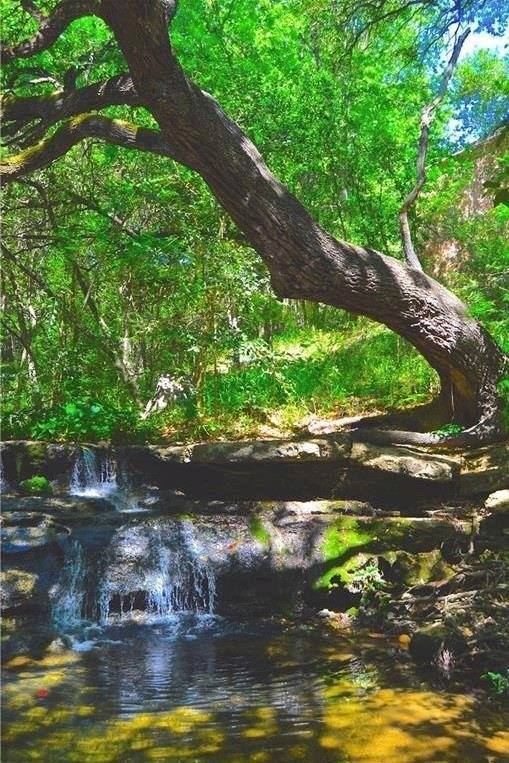 3839 Dry Creek Dr Unit 145