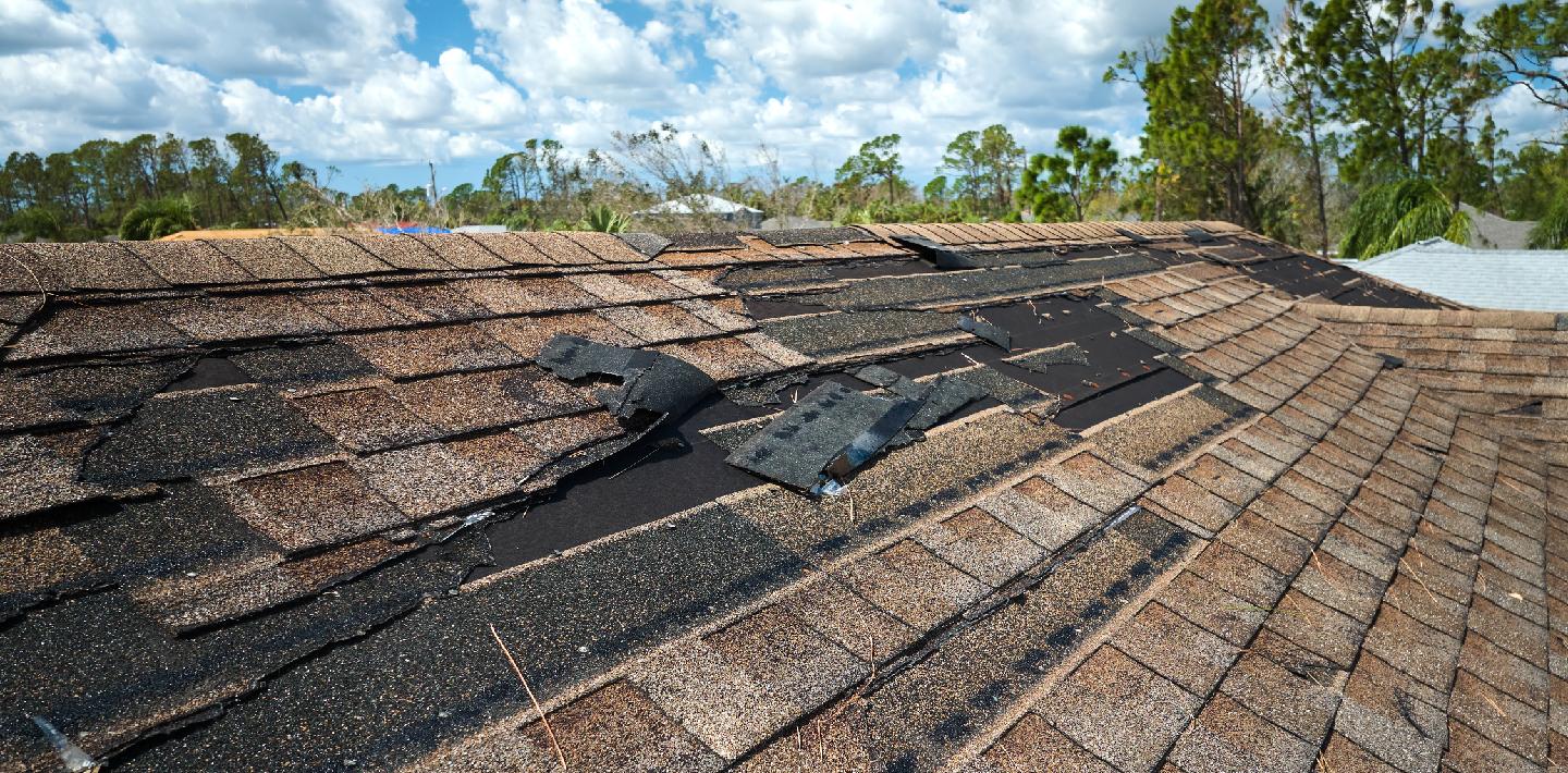 Roofing Concerns
