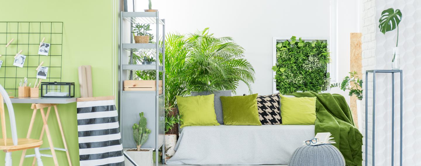5 Ways to Include Greenery into Your Home Decor - HAR.com
