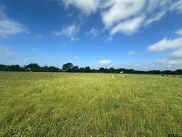 Lot 4 - 10AC County Road 4330, Point, TX 75472