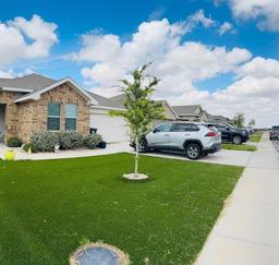 7717 Purple Vitex — Homestead at Parks Bell Ranch, 1st Filing