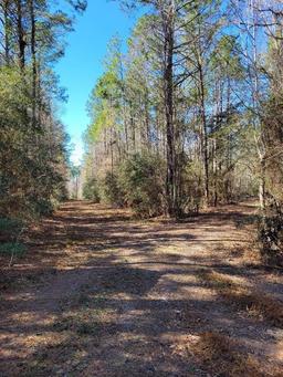  County Road 4110, Call, TX, 75933
