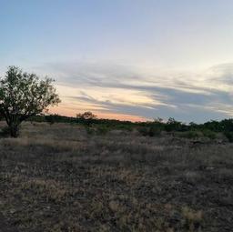  Private Rd 3922, Miles, TX, 76861