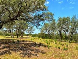 15 Oriole Dr, Camp Wood, TX 78833