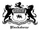 Blackshear Realty logo