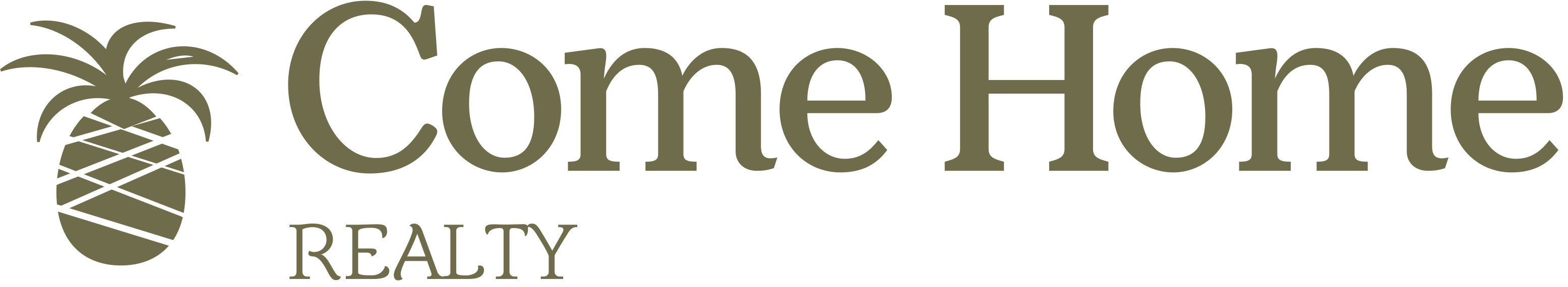 Come Home Realty logo