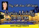Caprice Michelle, LLC